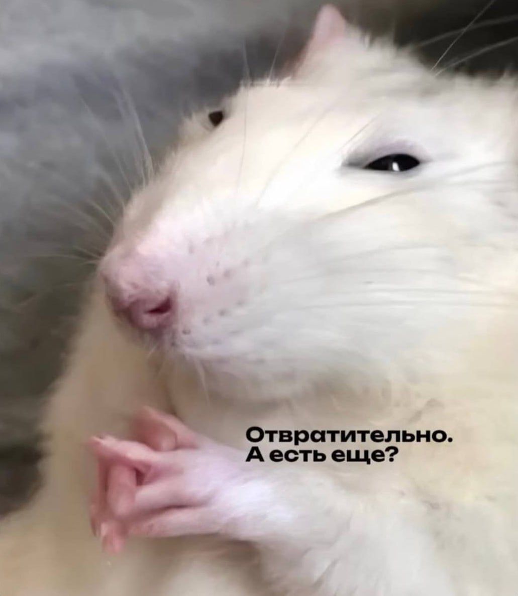 Отвратительно. А есть еще?