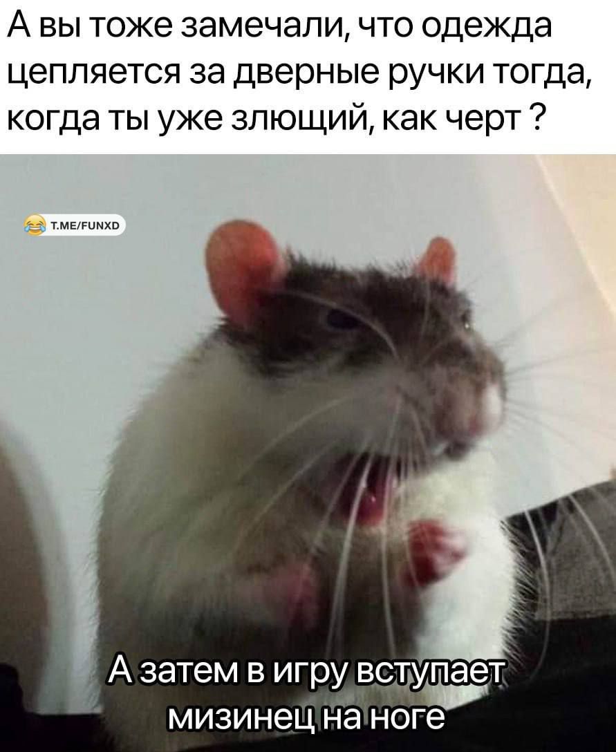 А вы тоже замечали, что одежда цепляется за дверные ручки тогда, когда ты уже злющий, как черт ? / А затем в игру вступает мизинец на ноге