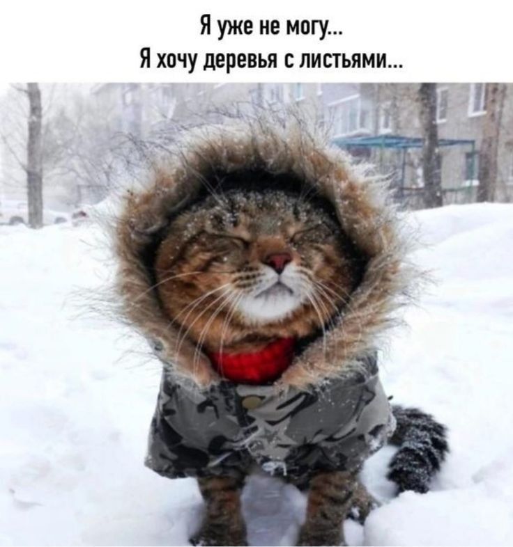 Я уже не могу...
Я хочу деревья с листьями...