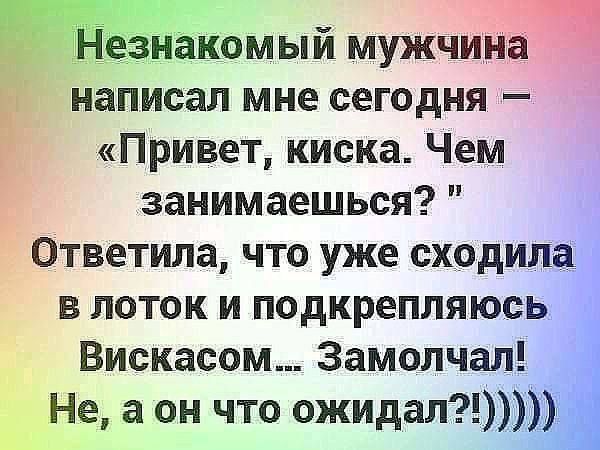 Незнакомый мужчина написал мне сегодня — «Привет, киска. Чем занимаешься?» Ответила, что уже сходила в лоток и подкрепляюсь Вискасом... Замолкал! Не, а он что ожидал?!))))))