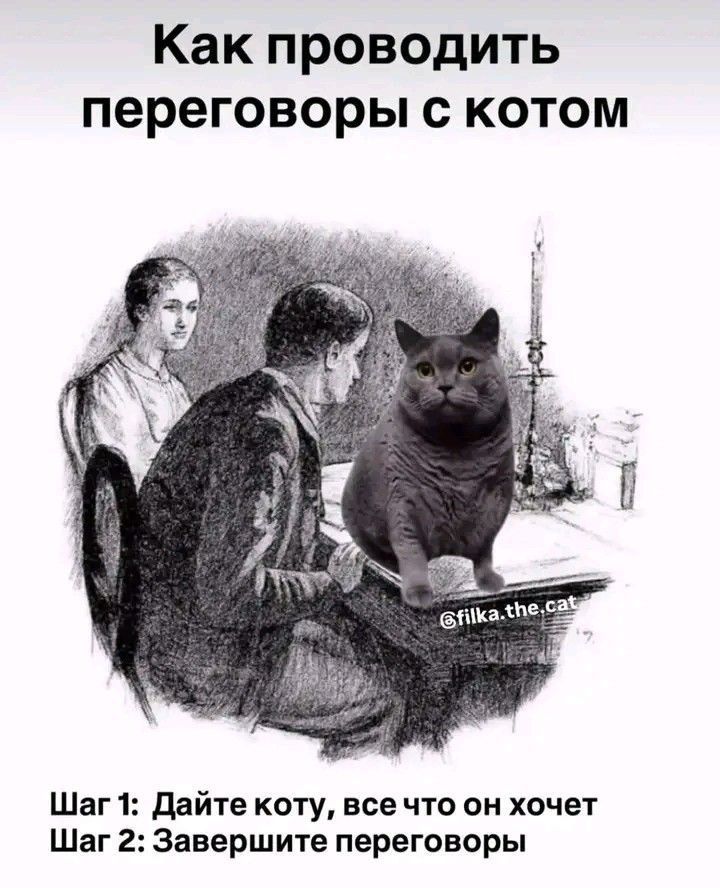 Как проводить переговоры с котом
Шаг 1: Дайте коту, все что он хочет
Шаг 2: Завершите переговоры