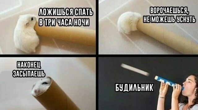 ложишься спать в три часа ночи
ворочаешься, не можешь уснуть
наконец засыпаешь
будильник