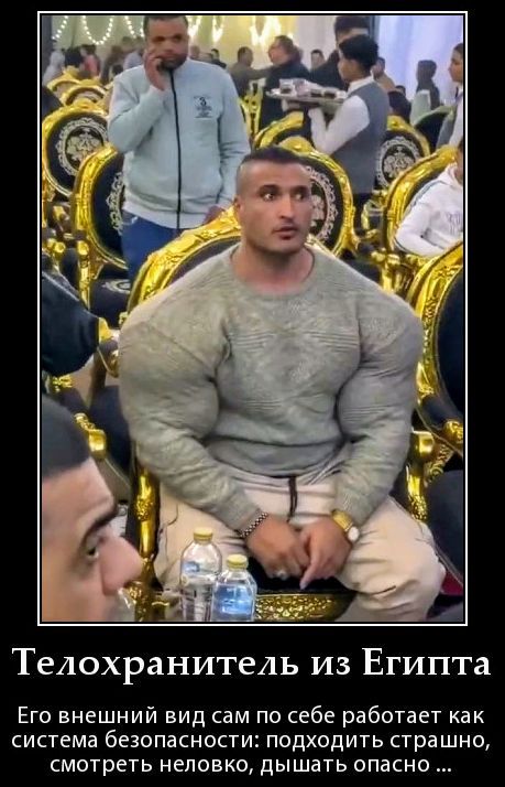 Телохранитель из Египта
Его внешний вид сам по себе работает как система безопасности: подходить страшно, смотреть неловко, дышать опасно …