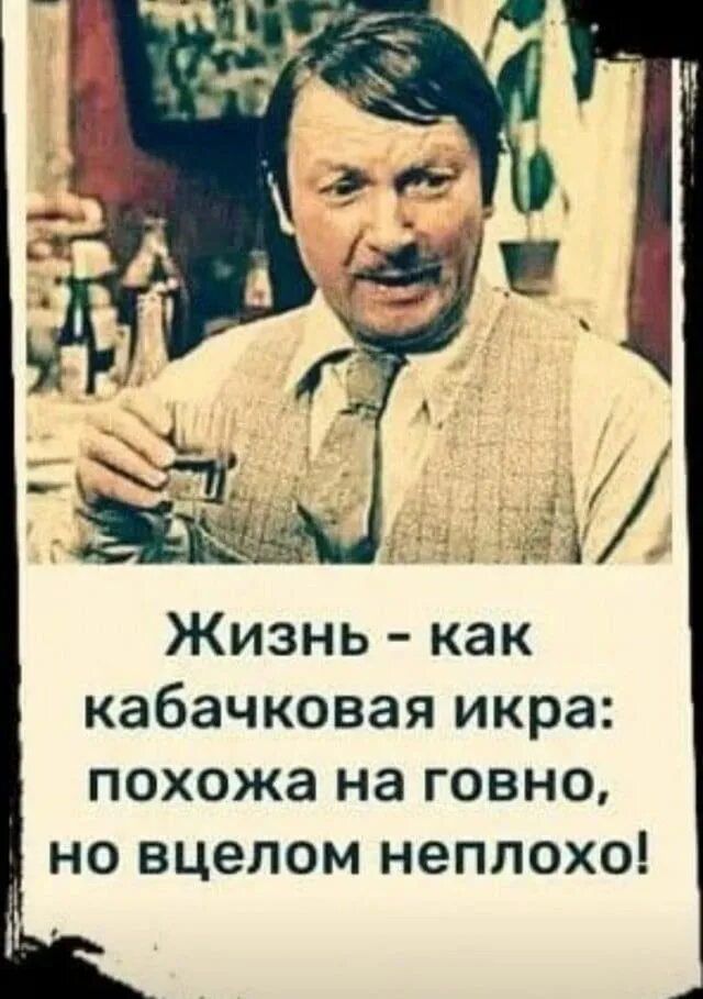 Жизнь - как кабачковая икра: похожа на говно, но в целом неплохо!