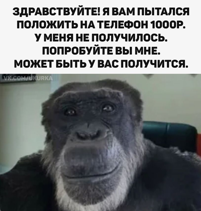 ЗДРАВСТВУЙТЕ! Я ВАМ ПОПЫТАЛСЯ ПОЛОЖИТЬ НА ТЕЛЕФОН 1000Р. У МЕНЯ НЕ ПОЛУЧИЛОСЬ. ПОПРОБУЙТЕ ВЫ МНЕ. МОЖЕТ БЫТЬ У ВАС ПОЛУЧИТСЯ.