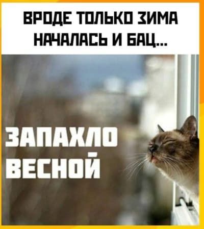 Вроде только зима началась и бац... Запахло весной