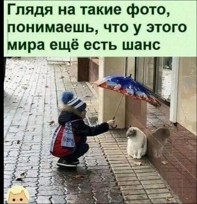Глядя на такие фото, понимаешь, что у этого мира ещё есть шанс