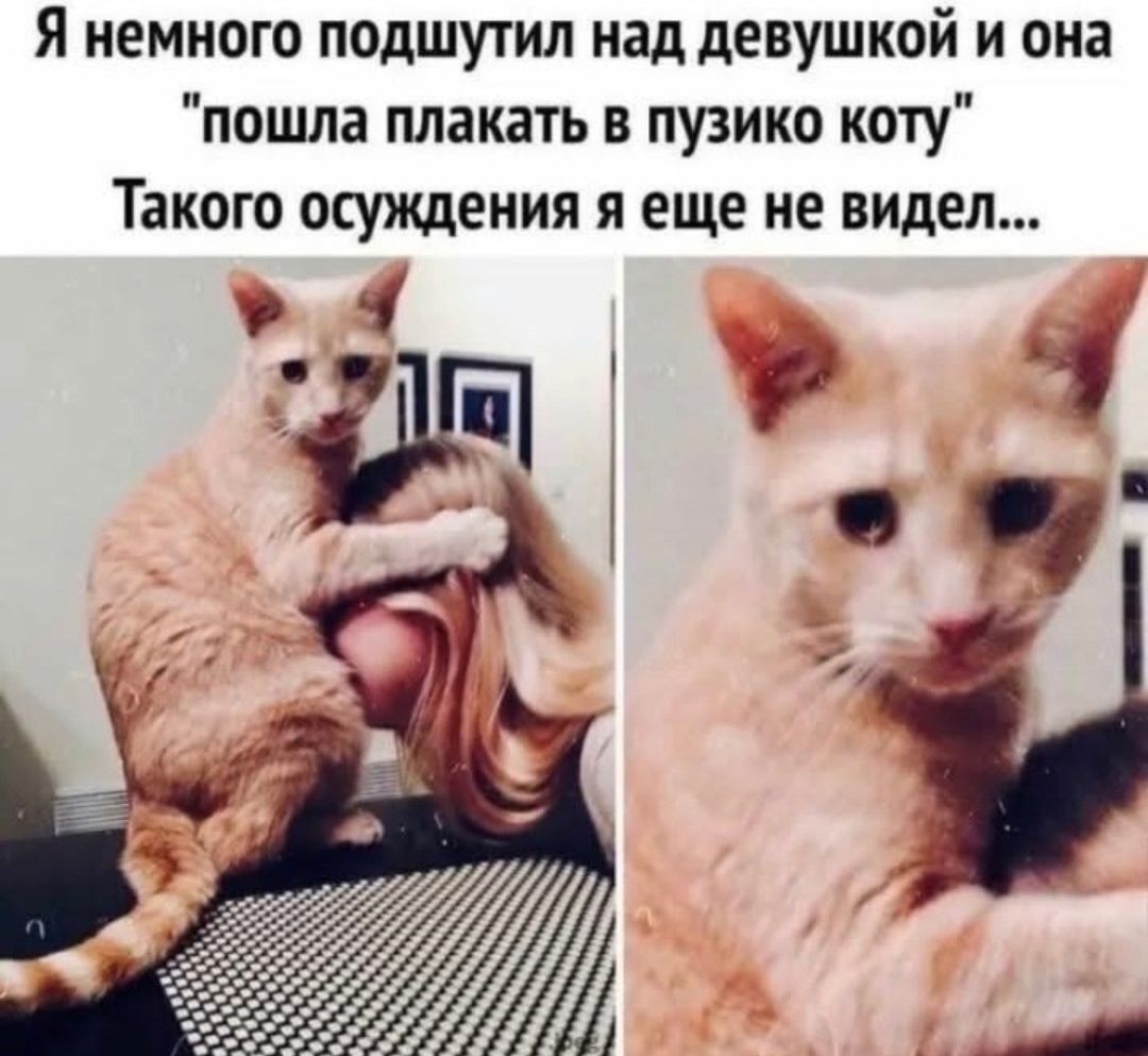 Я немножко подшутил над девушкой и она 