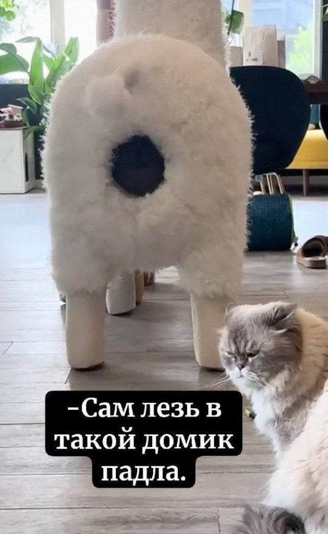 -Сам лезь в такой домик падла.