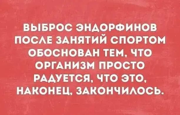 Выброс эндорфинов после занятий спортом обоснован тем, что организм просто радуется, что это, наконец, закончилось.