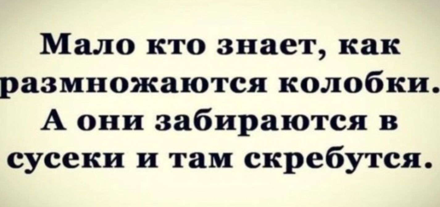 Мало кто знает, как размножаются колобки. А они забираются в сусеки и там скребутся.