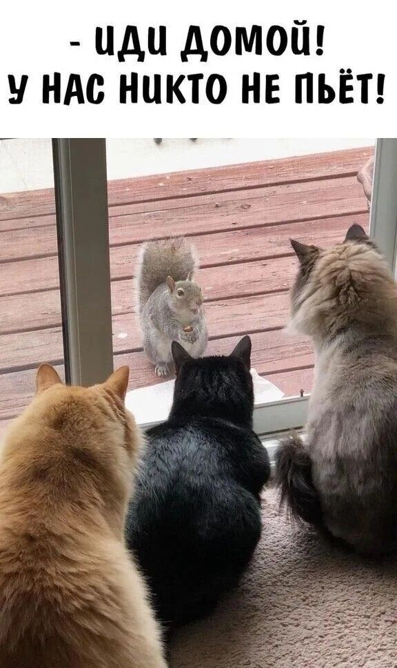 - ИДИ ДОМОЙ! У НАС НИКТО НЕ ПЬЁТ!