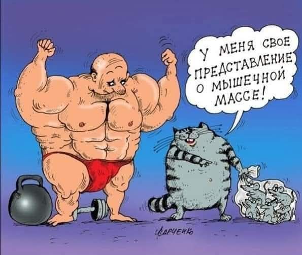 У меня своё представление о мышечной массе!