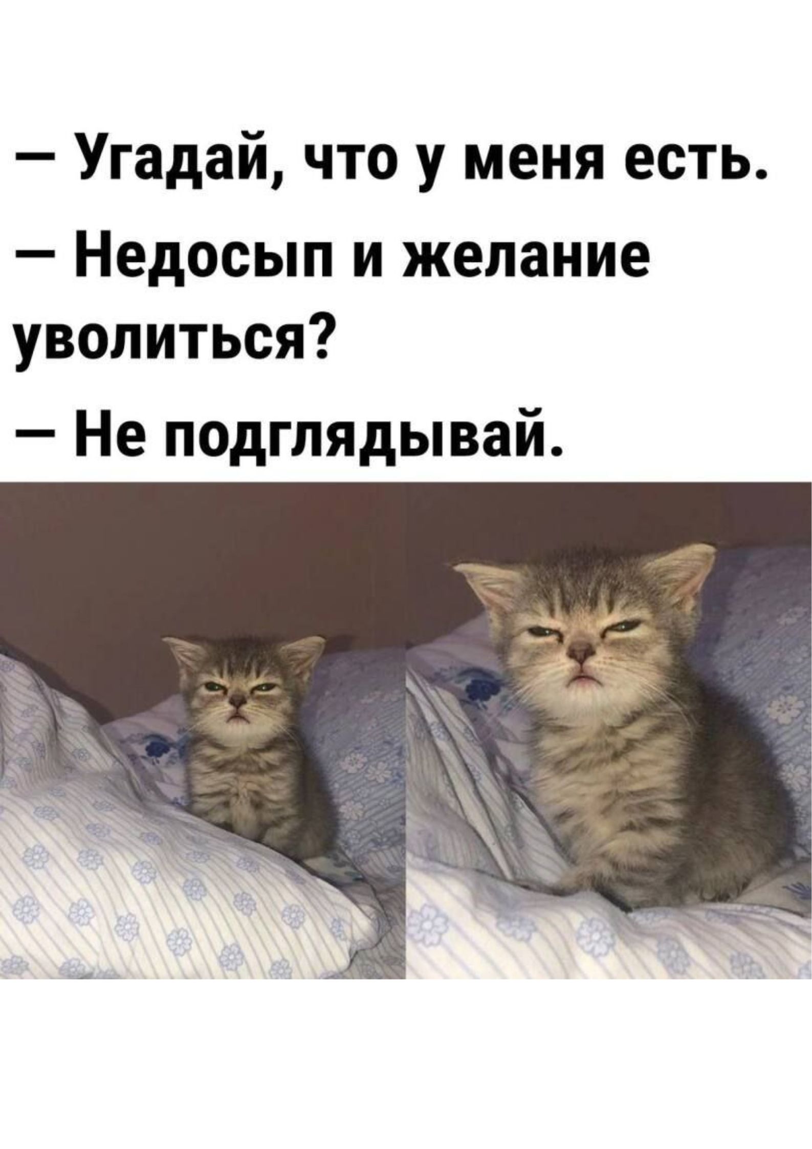 — Угадай, что у меня есть. 
— Недосып и желание уволиться? 
— Не подглядывай.