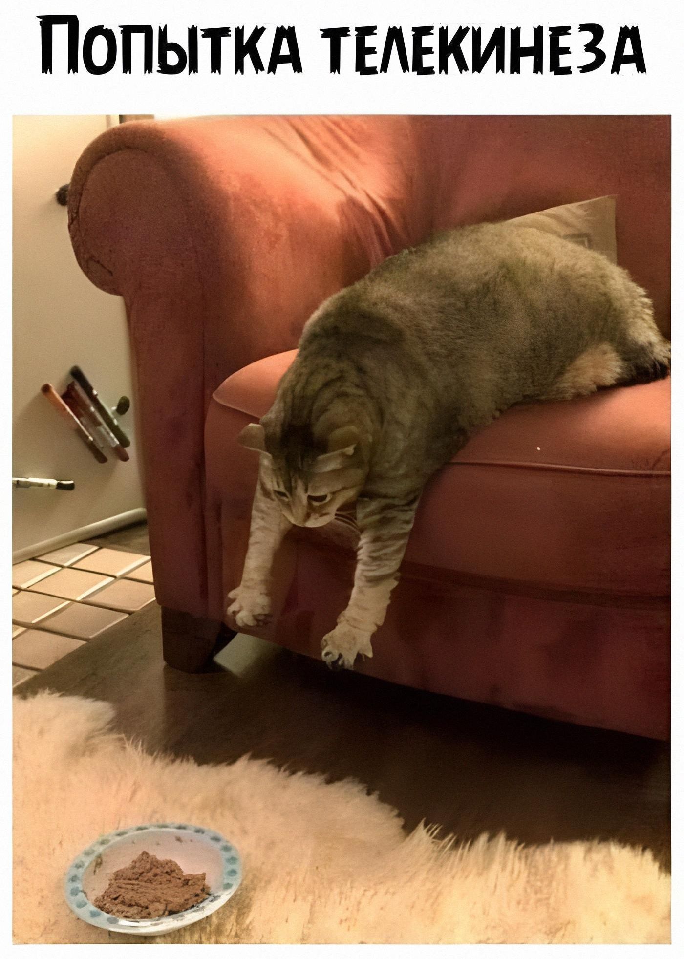 Попытка телекенеза