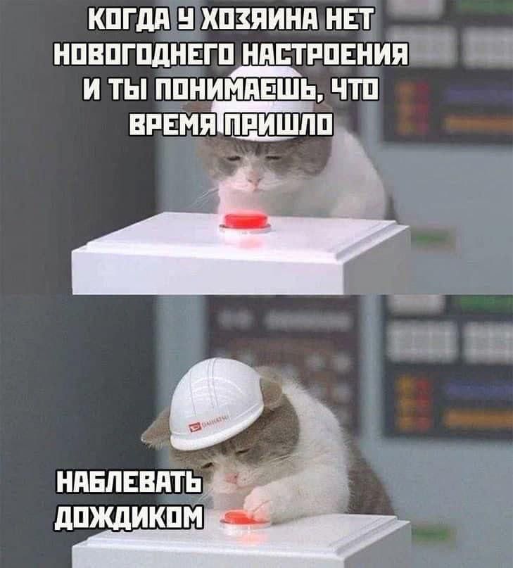КОГДА У ХОЗЯИНА НЕТ НОВОГОДНЕГО НАСТРОЕНИЯ И ТЫ ПОНИМАЕШЬ, ЧТО ВРЕМЯ ПРИШЛО
НАБЛЕВАТЬ ДОЖДИКОМ