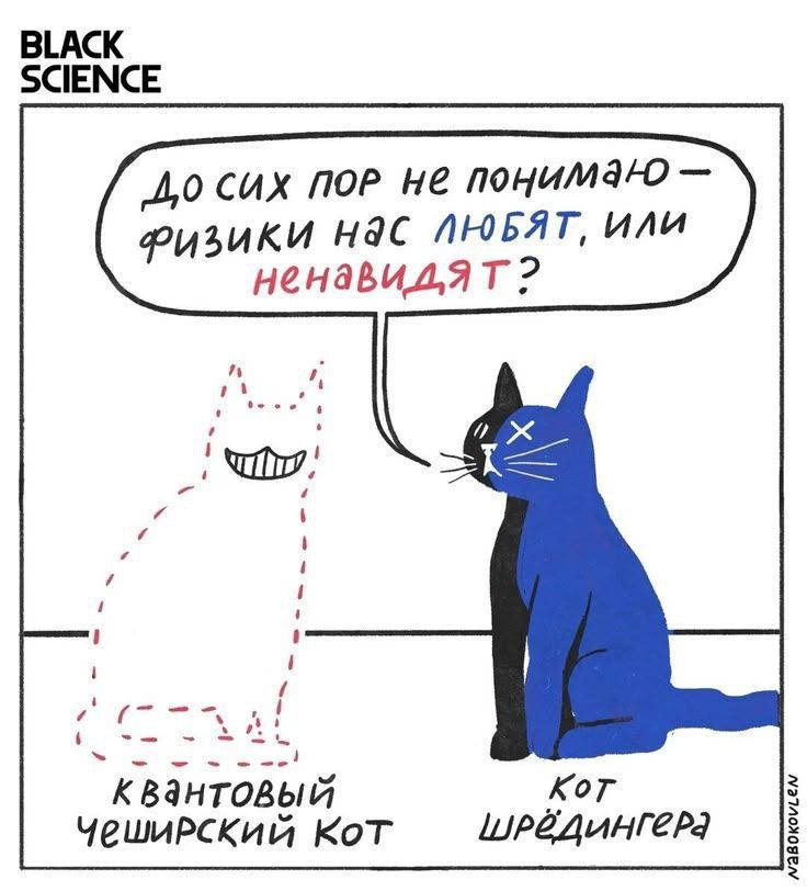 До сих пор не понимаю — физики нас любят, или ненавидят?\nквантовый чеширский кот, кот Шредингера