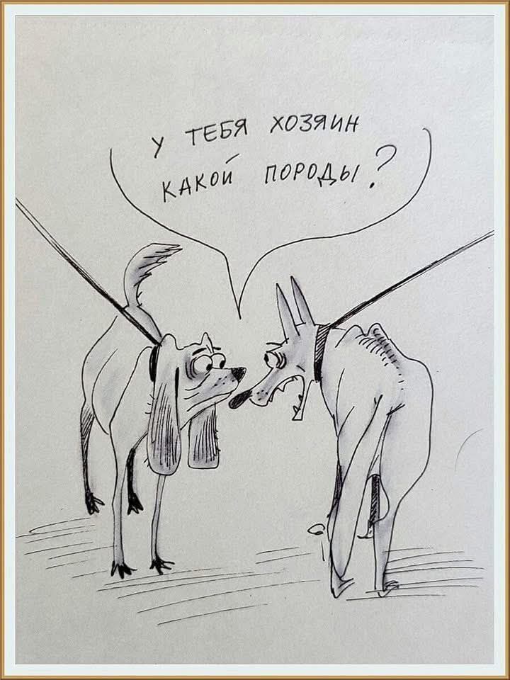 У ТЕБЯ ХОЗЯИН КАКОЙ ПОРОДЫ?