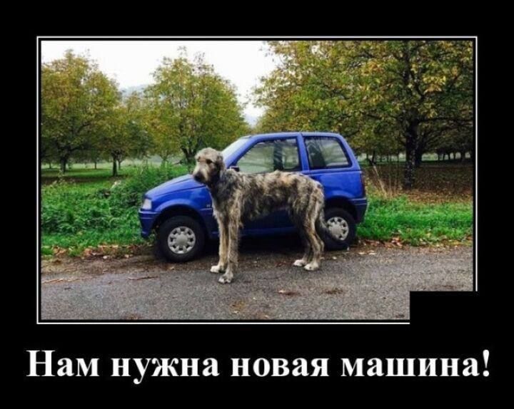 Нам нужна новая машина!