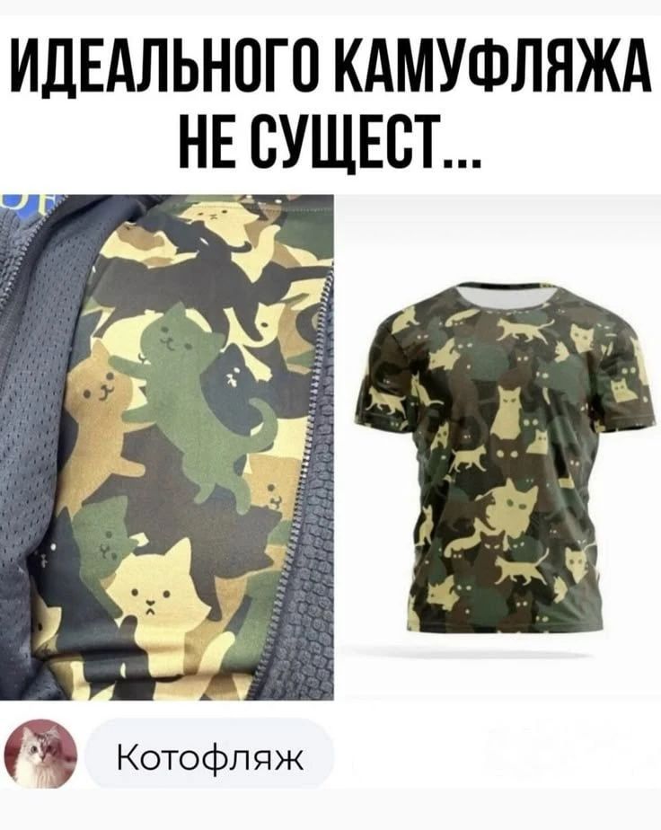 ИДЕАЛЬНОГО КАМУФЛЯЖА НЕ СУЩЕСТ... 

Котофляж