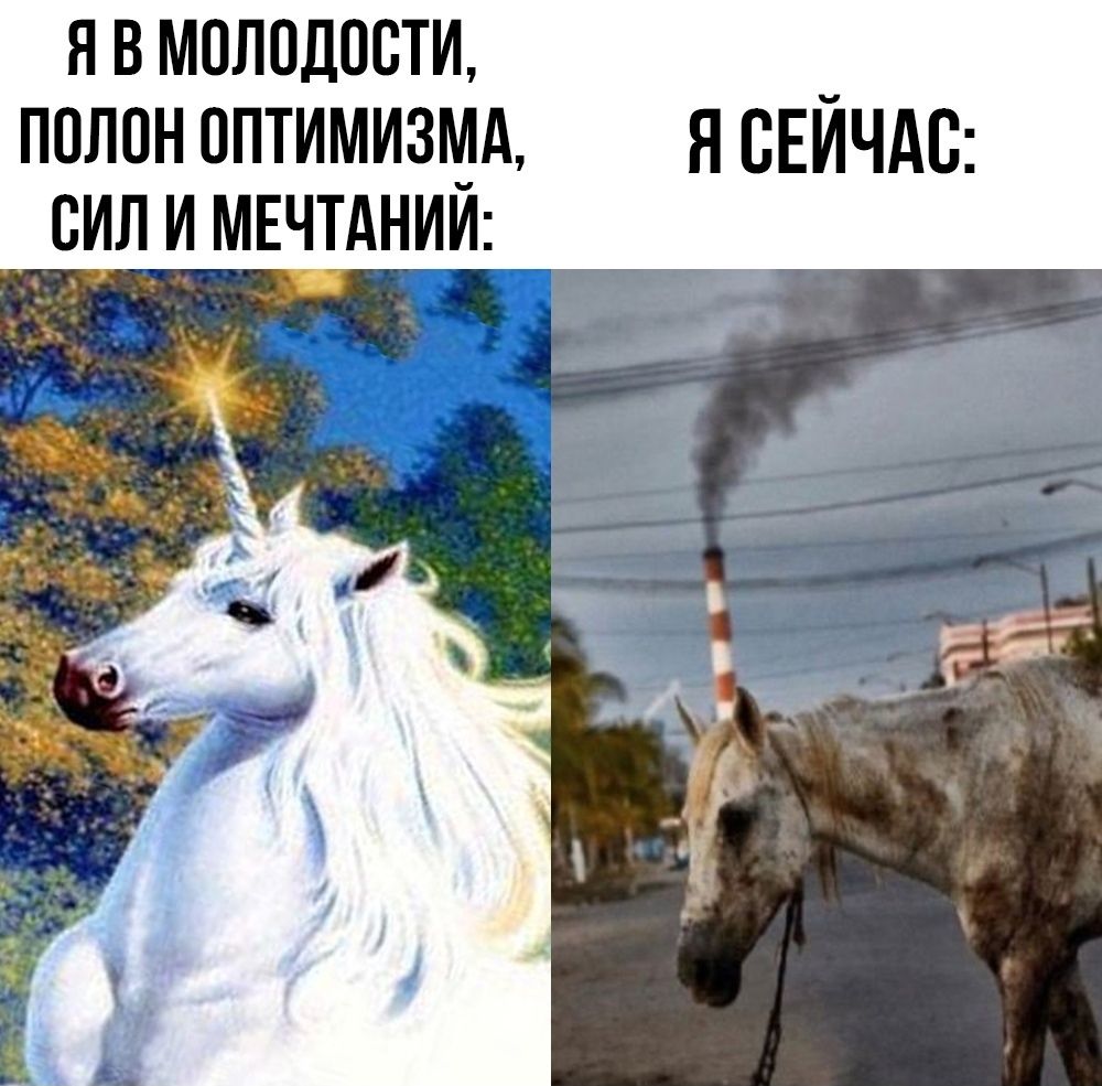 Я В МОЛОДОСТИ, ПОЛОН ОПТИМИЗМА, СИЛ И МЕЧТАНИЙ:
Я СЕЙЧАС: