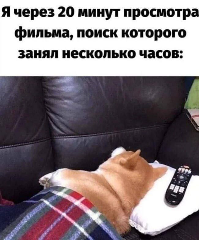 я через 20 минут просмотра фильма, поиск которого занял несколько часов: