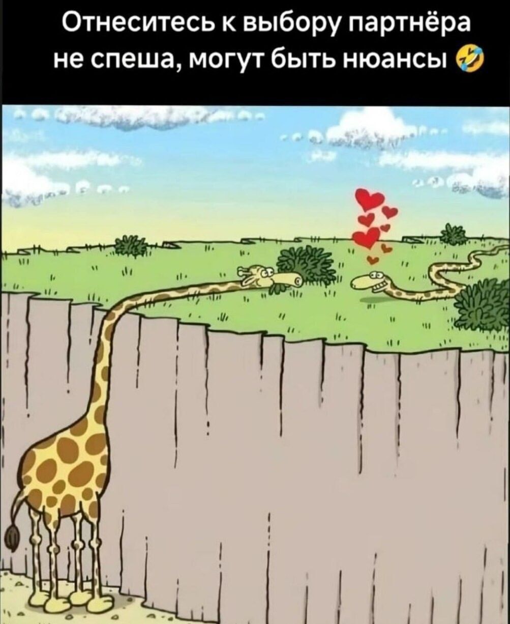 Отнеситесь к выбору партнёра не спеша, могут быть нюансы 😂