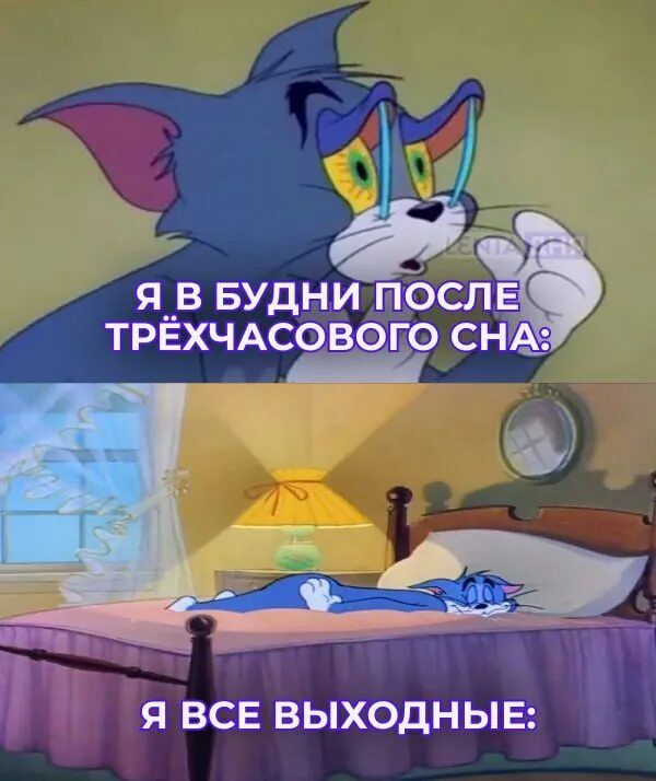 Я в будни после трёхчасового сна:
Я ВСЕ выходные: