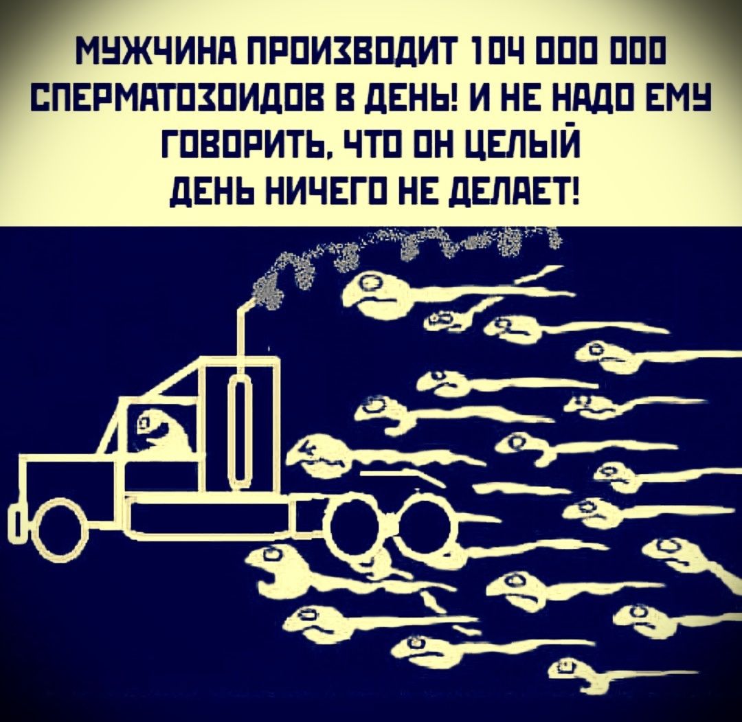 МУЖЧИНА ПРОИЗВОДИТ 100 000 000 СПЕРМАТОЗИДОВ В ДЕНЬ! И НЕ НАДО ЕМУ ГОВОРИТЬ, ЧТО ОН ЦЕЛЫЙ ДЕНЬ НИЧЕГО НЕ ДЕЛАЕТ!