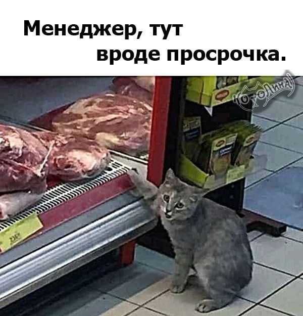 Менеджер, тут вроде просрочка.