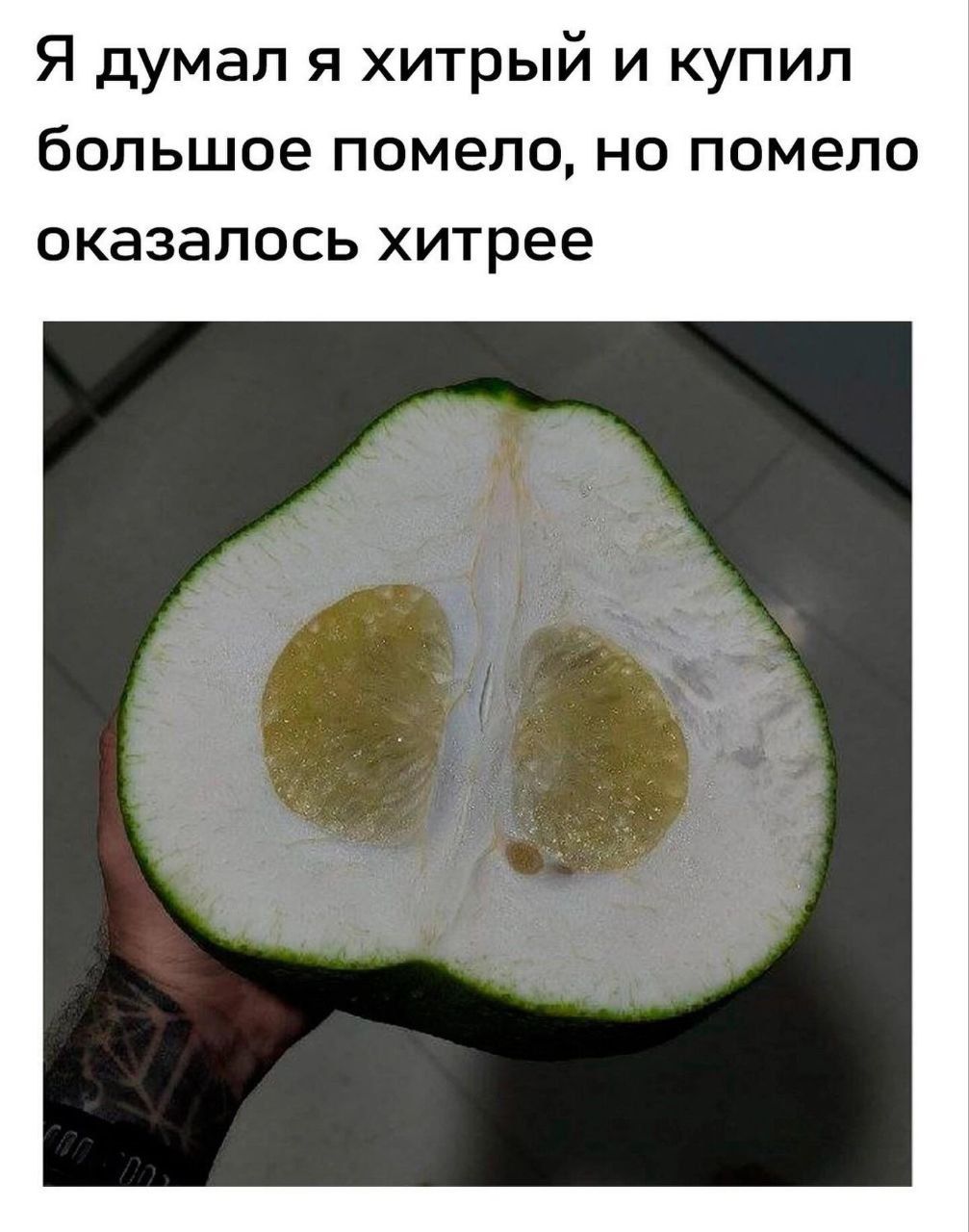 Я думал я хитрый и купил большое помело, но помело оказалось хитрее