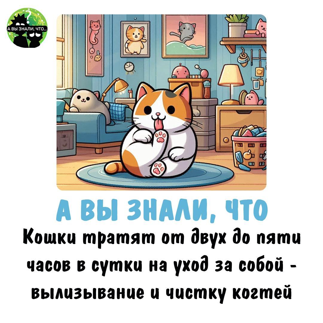 А ВЫ ЗНАЛИ, ЧТО КОШКИ ТРАТЯТ ОТ ДВУХ ДО ПЯТИ ЧАСОВ В СУТКИ НА УХОД ЗА СОБОЙ - ВЫЛИЗЫВАНИЕ И ЧИСТКУ КОГТЕЙ