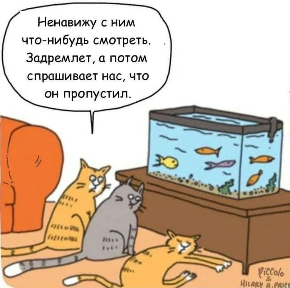 Ненавижу с ним что-нибудь смотреть. Задремлет, а потом спрашивает нас, что он пропустил.