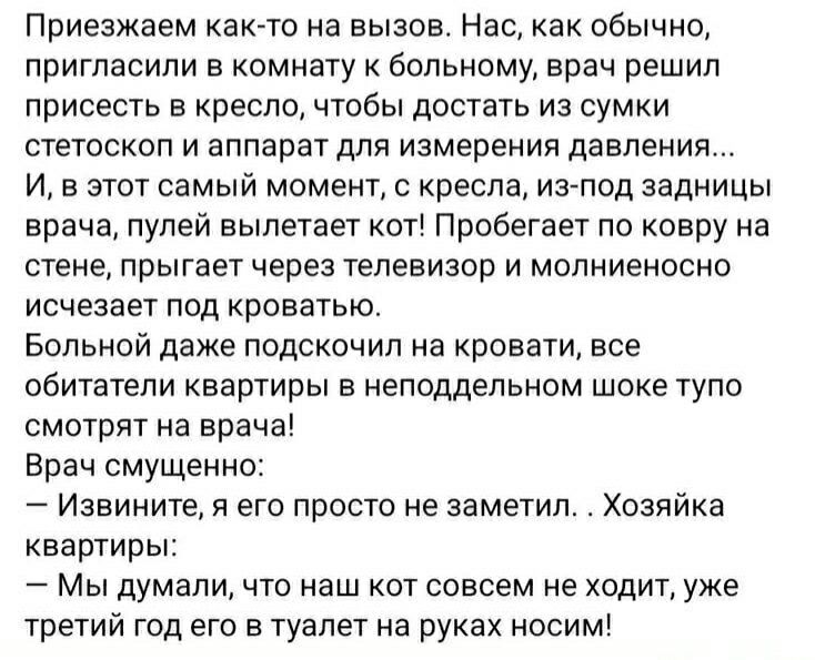 Приезжаем как-то на вызов. Нас, как обычно, пригласили в комнату к больному, врач решил присесть в кресло, чтобы достать из сумки стетоскоп и аппарат для измерения давления… И, в этот самый момент, с кресла, из-под задницы врача, пулей вылетает кот! Пробегает по ковру на стене, прыгает через телевизор и молниеносно исчезает под кроватью. Больной да