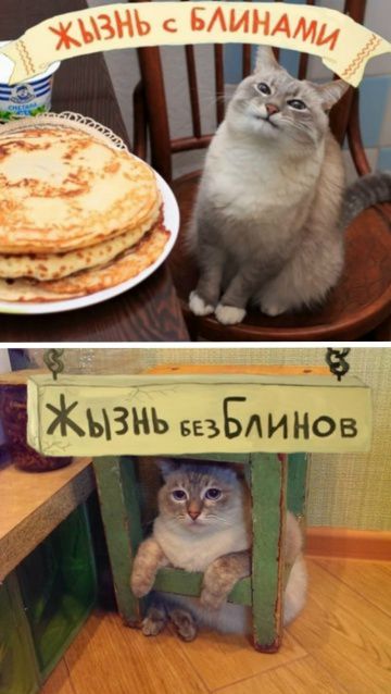 Жизнь с блинами\nЖизнь без блинов