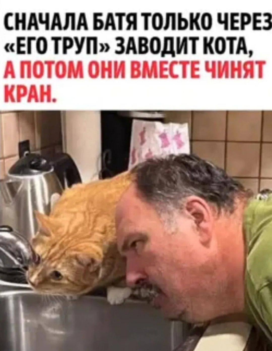 СНАЧАЛА БАТЯ ТОЛЬКО ЧЕРЕЗ «ЕГО ТРУП» ЗАВОДИТ КОТА, А ПОТОМ ОНИ ВМЕСТЕ ЧИНЯТ КРАН.