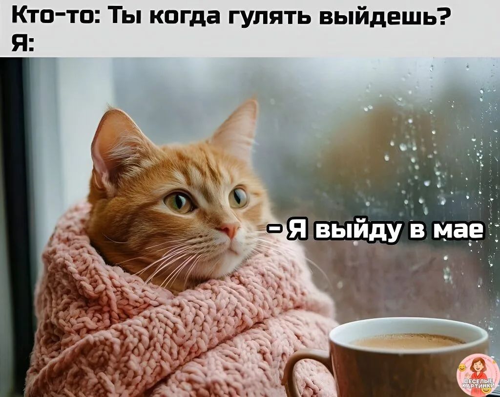 Кто-то: Ты когда гулять выйдешь?
Я:
- Я выйду в мае