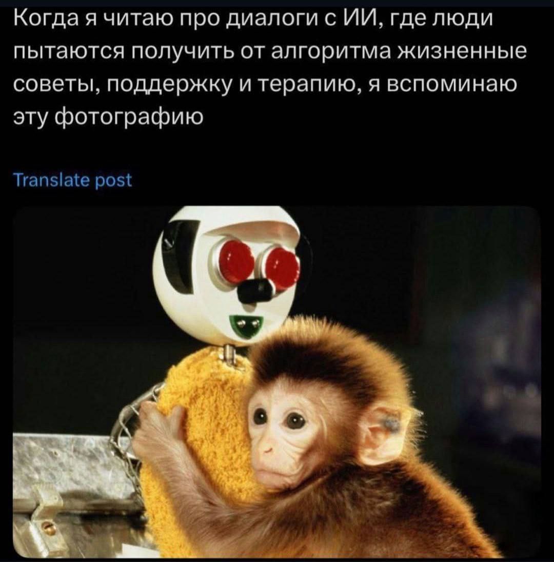 Когда я читаю про диалоги с ИИ, где люди пытаются получить от алгоритма жизненные советы, поддержку и терапию, я вспоминаю эту фотографию