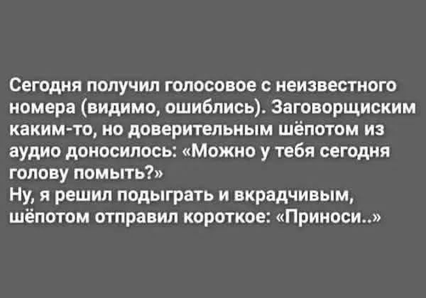 Сегодня получил голосовое с неизвестного номера (видимо, ошиблись). Заговорщическим каким-то, но доверительным шёпотом из аудио донеслось: «Можно у тебя сегодня голову помыть?» Ну, я решил подыграть и вккрадчивым, шёпотом отправил короткое: «Приноси…»