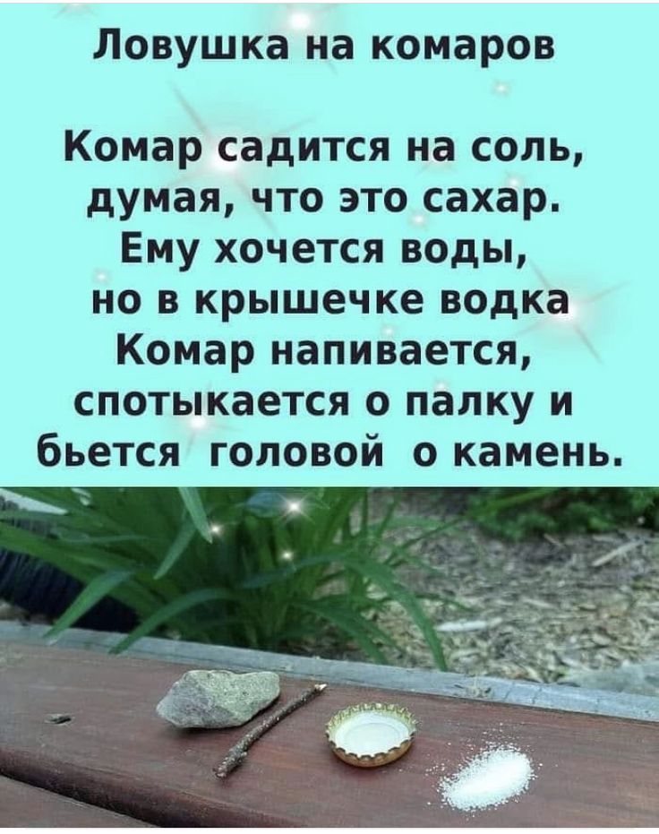 Ловушка на комаров Комар садится на соль, думая, что это сахар. Ему хочется воды, но в крышечке водка Комар напивается, спотыкается о палку и бьется головой о камень.