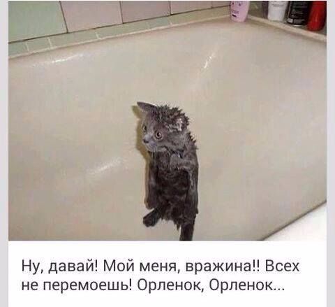 Ну, давай! Мой меня, вражина!! Всех не перемоешь! Орленок, Орленок...