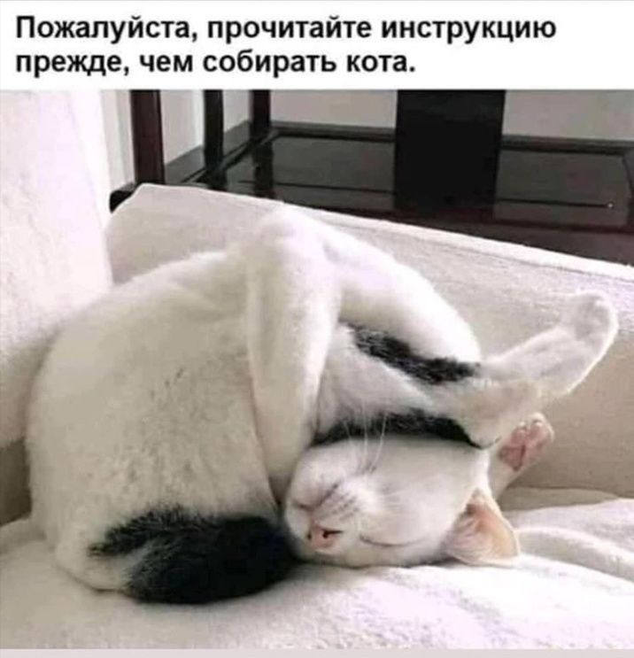 Пожалуйста, прочитайте инструкцию прежде, чем собирать кота.