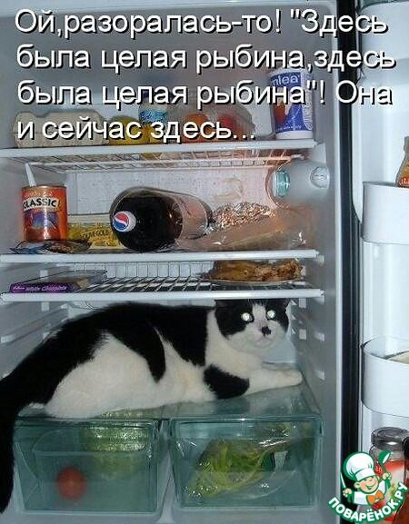 Ой, разоралась-то! Здесь была целая рыбина, здесь была целая рыбина'! Она и сейчас здесь...