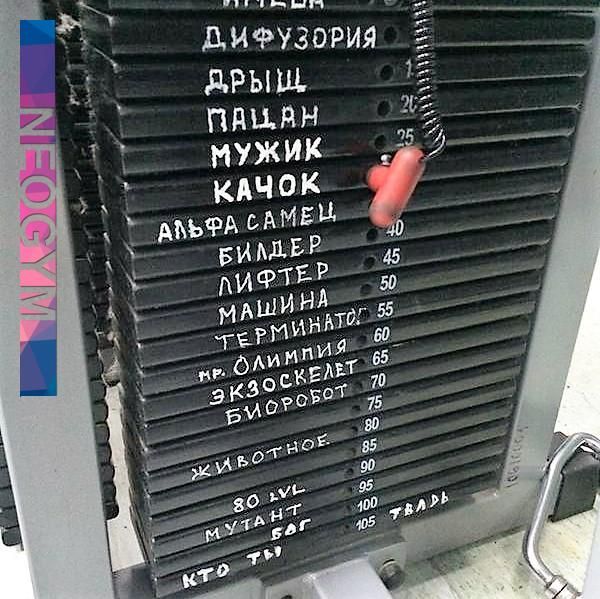 ДИФУЗОРИЯ
АРЫШ
ДРУГИМ
МАЙН
МУЖИК
КАЧОК
АЛЬФА САМЕЦ
БИЛДЕР
ЛИФТЕР
МАШИНА
ТЕРМИНАТ
НР ОЛИМПИЯ
ЭКЗОСКЕЛЕТ
ЖИВОТНОЕ
КТО ТЫ