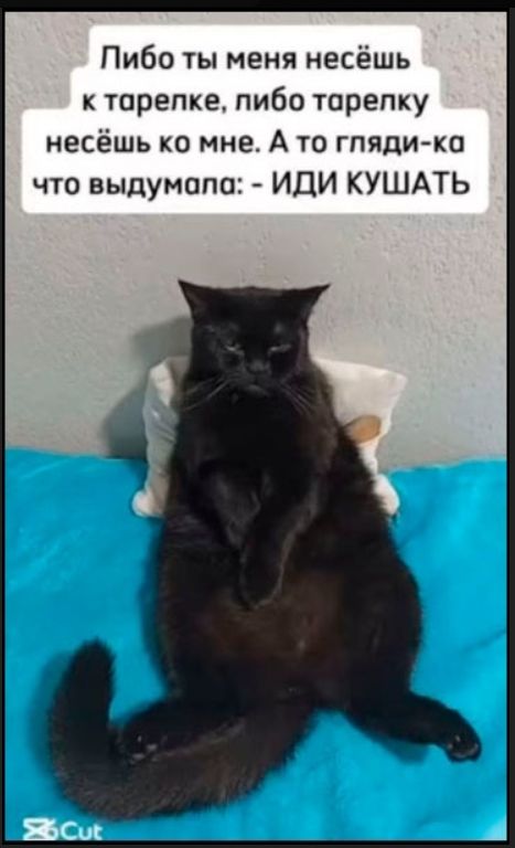 Пибо ты меня несёшь к тарелке, либо тарелку несёшь ко мне. А то гляди-ка что выдумала: - ИДИ КУШАТЬ