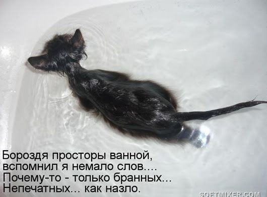 Бороздя просторы ванной,
вспоминал я немало слов...
Почему-то - только бранных...
Непечатанных... как назло.