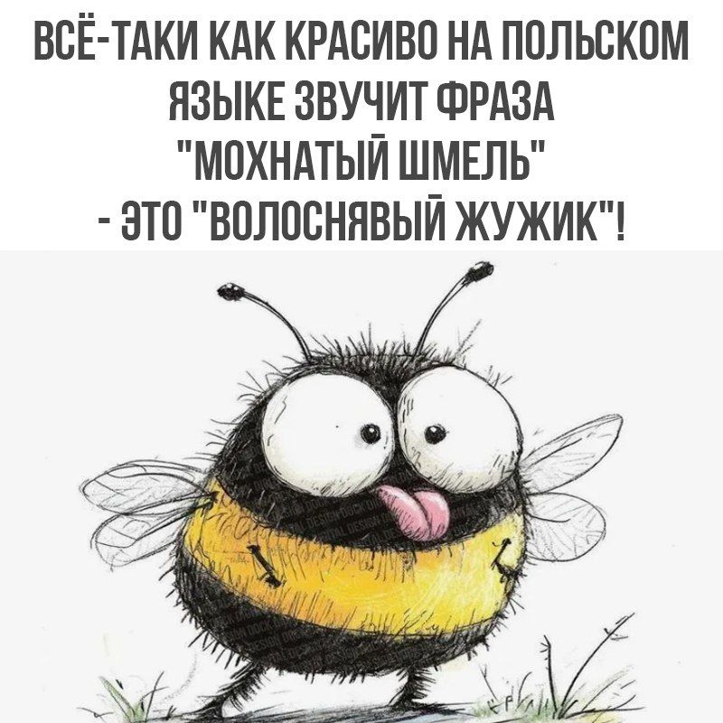 ВСЁ-ТАКИ КАК КРАСИВО НА ПОЛЬСКОМ ЯЗЫКЕ ЗВУЧИТ ФРАЗА 