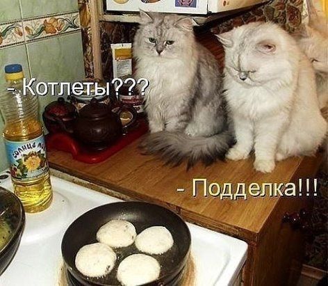 Котлеты???
- Подделка!!!