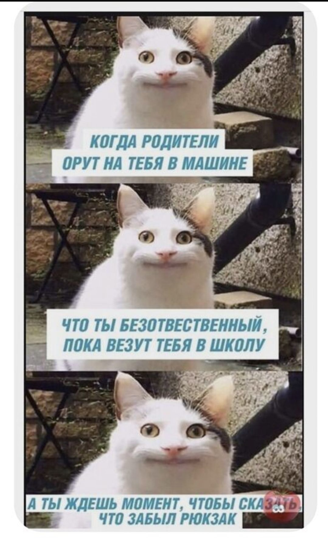 КОГДА РОДИТЕЛИ ОРУТ НА ТЕБЯ В МАШИНЕ. ЧТО ТЫ БЕЗОТВЕТСТВЕННЫЙ, ПОКА ВЕЗУТ ТЕБЯ В ШКОЛУ. А ТЫ ЖДЕШЬ МОМЕНТ, ЧТОБЫ СКАЗАТЬ ЧТО ЗАБЫЛ РЮКЗАК