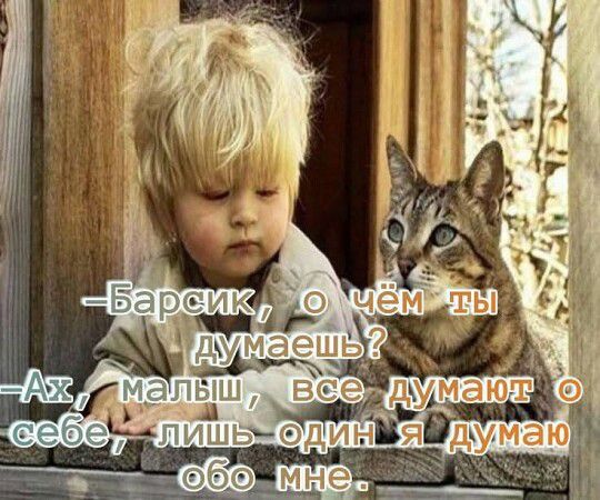 -Барсик, о чём ты думаешь?
-Ах, малыш, все думают о себе, лишь один я думаю обо мне.